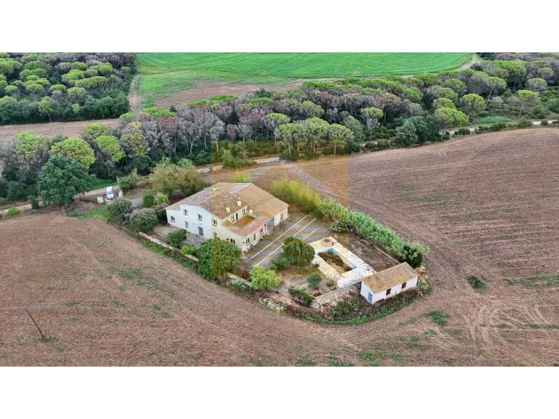 Finca | Masia